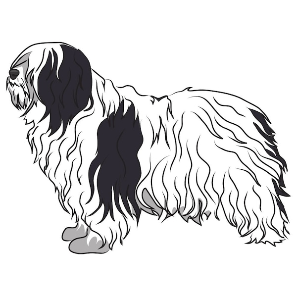 Signmission Polish Lowland Sheepdog Dog Decal, Dog Lover Decor Vinyl Sticker D-12-Polish Lowland Sheepdog - main